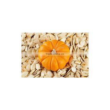 PUMPKIN SEEDS