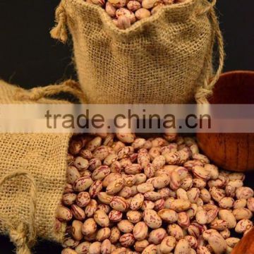 Good quality light speckled kidney beans,American type