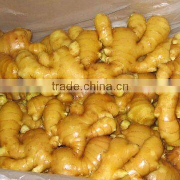 Good Quality Fresh Ginger