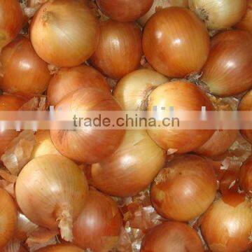 onion
