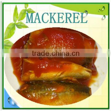 high quality hot sale canned mackerel in tomato sauce fish mackerel