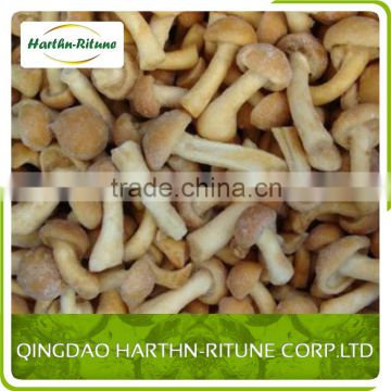 Frozen Pholiota nameko iqf frozen nameko