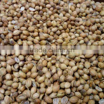 coriander seed