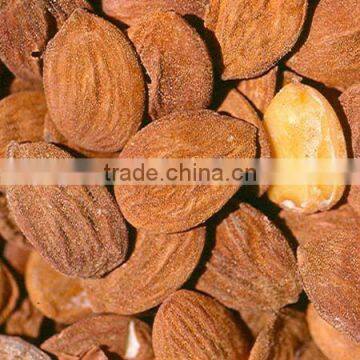 Peach Kernels