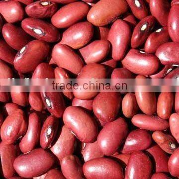 china red kidney bean