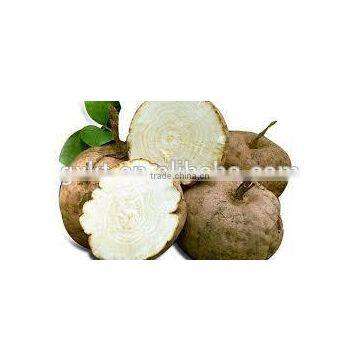 Pueraria Mirifica Big Breast Massage Oil photo-3