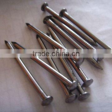 electro galvanized common wire nail/common iron wire nails/bright common nails