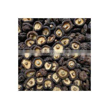 Automatic Mesh Belt Conveyor Dryer photo-5