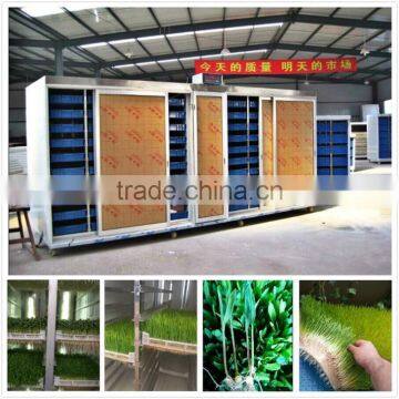 500kg/day automatic heating and watering hydroponic fodder machine for cattle/sheep/goat/rabit (china biggest manufacturer)