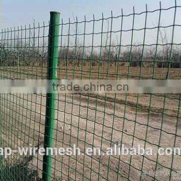 Fence Mesh Application and Galvanized Iron Wire Material 8/6/8 Double Wire Fence photo-2