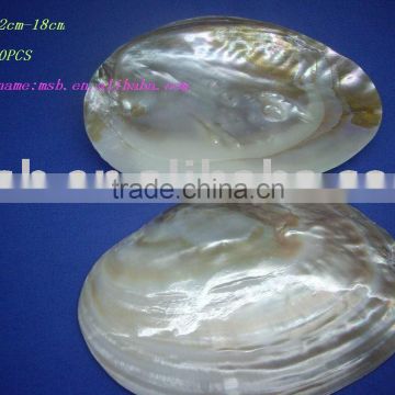 polished chinese freshwater mother of pearl shell