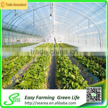 Polycarbonate Commercial Greenhouse photo-2