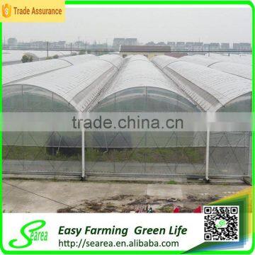 Economical Plastic Green House for Agriculture photo-4