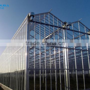 Glass Greenhouse For Commercial/Agricultural Used