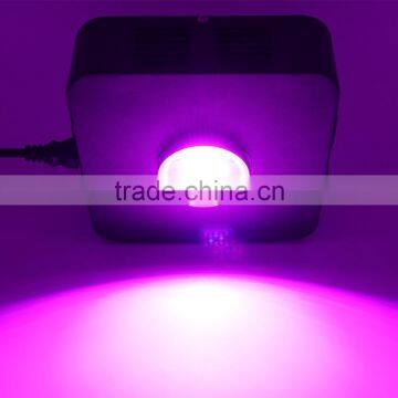 90W Full Spectrum COB Led Grow Light Panel Lamp Indoor Flower Veg Plant Yard Garden photo-5