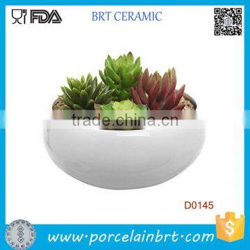 Modern White Round Succulent Plant Flower Planter Pot