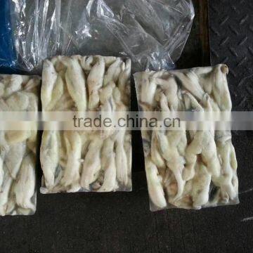 2016 New Arrived Frozen Illex Squid Roe for Market photo-3
