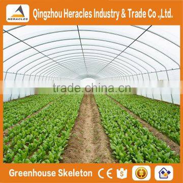 Heracles Large Multi-span PE Film Green House Agriculture & Commercial Used Greenhouse photo-5