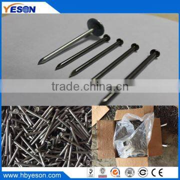 1 inch, 25kg carton polish iron common wire nails