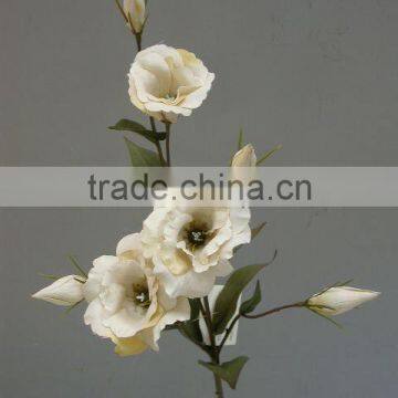 lisianthus wedding flower