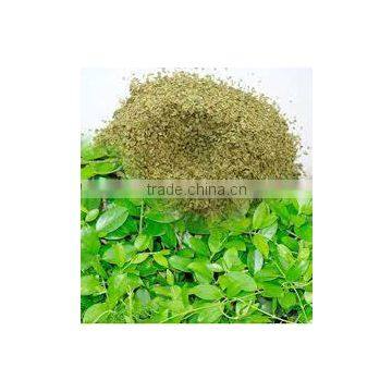 Gymnema Extract photo-2