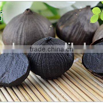 Zhengzhou Product Peeled Solo Black Garlic Packed With Organic Certificate photo-6
