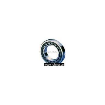 Cylindrical Roller Bearing