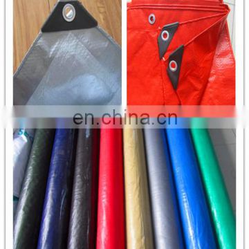 Polyethylene Tarpaulin Fabrics for Ground Sheet and Building Safety Curtain