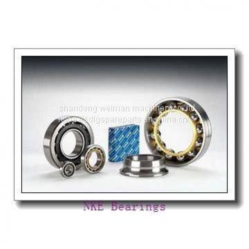 NKE Bearings