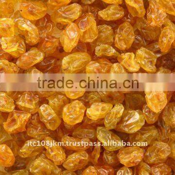 GOLDEN RAISIN