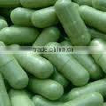 Organic certified Moringa Capsules for daily usage