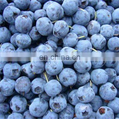 100kg/h Small Scale Stainless Steel 304 Iqf Belt Tunnel Meat Freezer photo-5