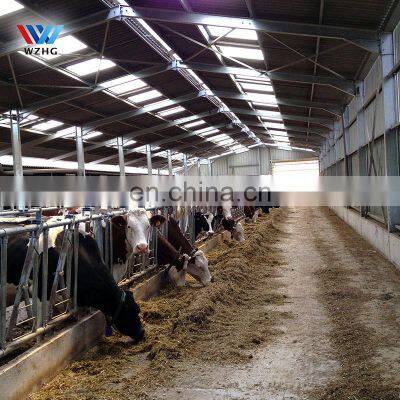 Low price project Long Span Steel Structure Farm Design prefab mini Dairy Cows Cattle Barn Shed