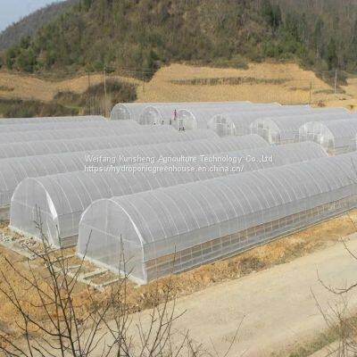 Tunnel Greenhouse photo-2