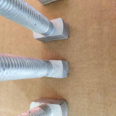 Customized T Head Bolt Material Grade 4.8 Hot Dipped Galvanized photo-2
