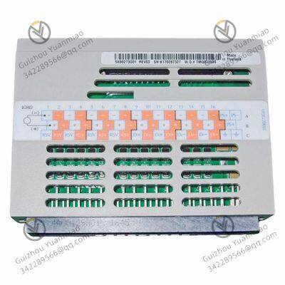 Emerson  5X00273G01  input module