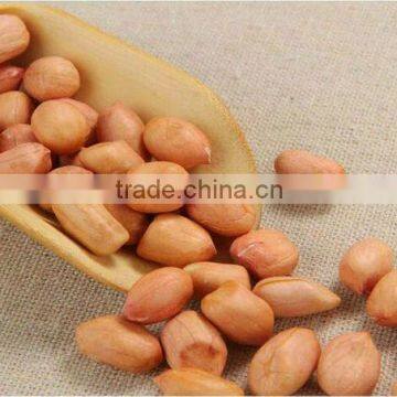 BAISHA TYPE PEANUT KERNELS 40/50
