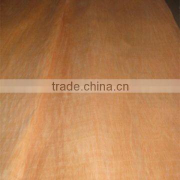Grade A-D 0.2-0.35mm Doorskin Bintangor Face Veneer photo-4
