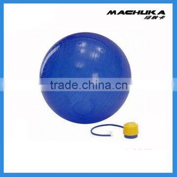 MACHUKA Exercise Fitness Ball - For Yoga Pilates Balance Stability - Non Toxic Anti Burst with Pump - 45cm 55cm 65cm