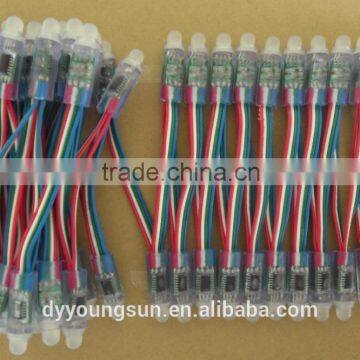 RGB 12mm High Brightness Led String Light