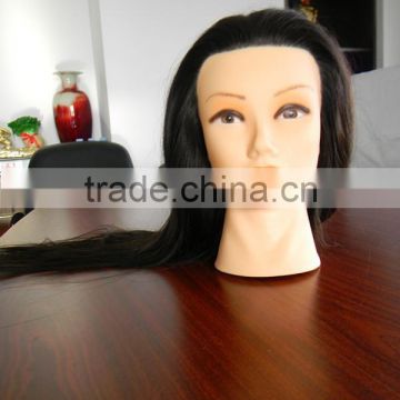 Wholesale alibaba 100%human hair training mannequin doll head