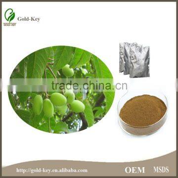 China Supply Olive Leaf Extract, Olive Leaf Powder