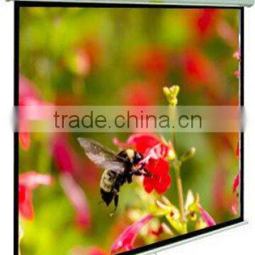 Projector Screens / Manual Projector Screens