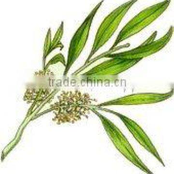 Tea Tree Oil