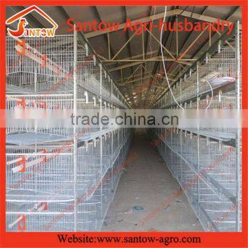 Stable steel structure professional chicken egg layer cage chicken egg laying equipment