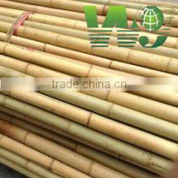 wy-z052 bamboo stake for plant support