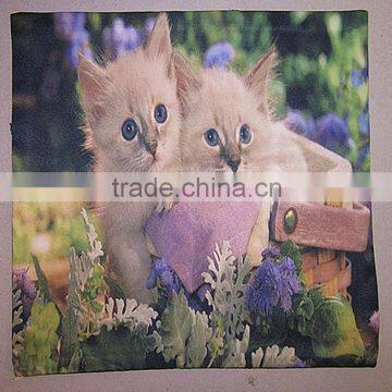 Home Decorative Photo Printing Pillow Cushion Cover photo-5