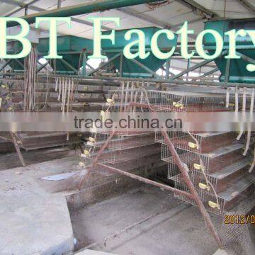 BT Factroy Hot-sale high quality metal layer quail cages for sale for South Africa