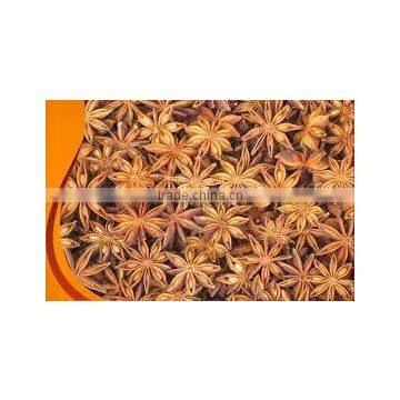 Autumn crop star anise from Vietnam