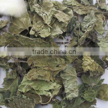 Mulberry Leaf Natural Herbal Tea photo-4